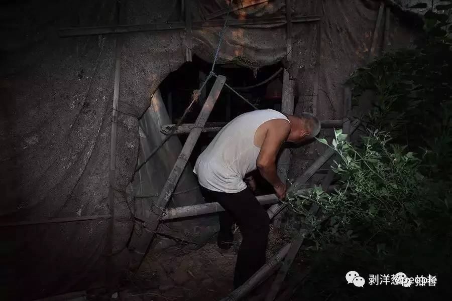 在附近种菜的大爷带领记者进去探访。据附近村民说,传销人员总是呆在这个大棚里,或者在一边的枣树林里。