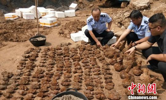 挖出的弹药。 警方供图