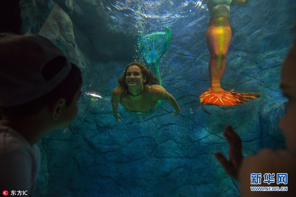 巴西圣保罗水族馆美女扮美人鱼 吸引游客观赏