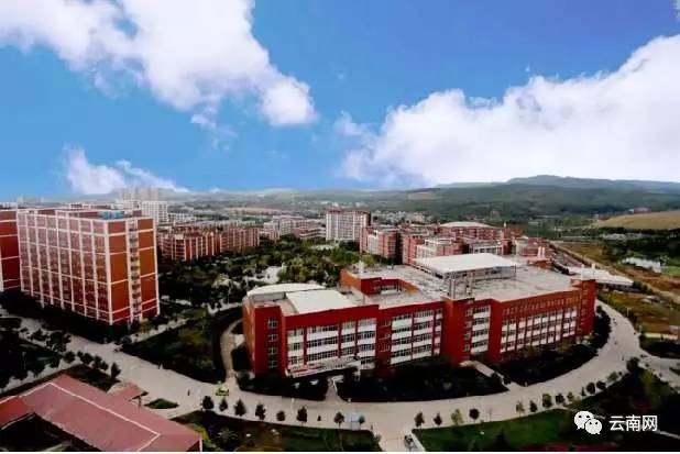 千余学子成功专升本,录取率94.4%!云南这个学