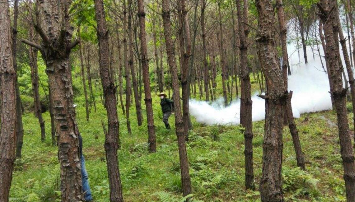 国家林业局:下半年全国主要林业生物灾害将偏