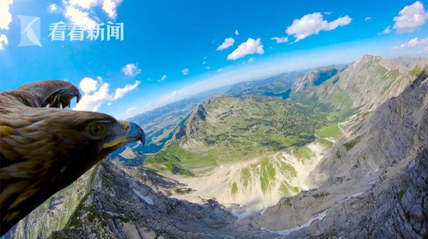 视频|飞越地平线!跟随老鹰去饱览阿尔卑斯山的壮阔!