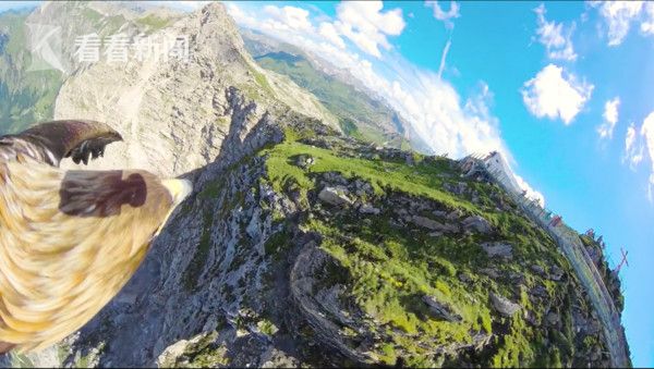 视频|飞越地平线!跟随老鹰去饱览阿尔卑斯山的壮阔!|老鹰|地平线|阿尔卑斯山_新浪新闻