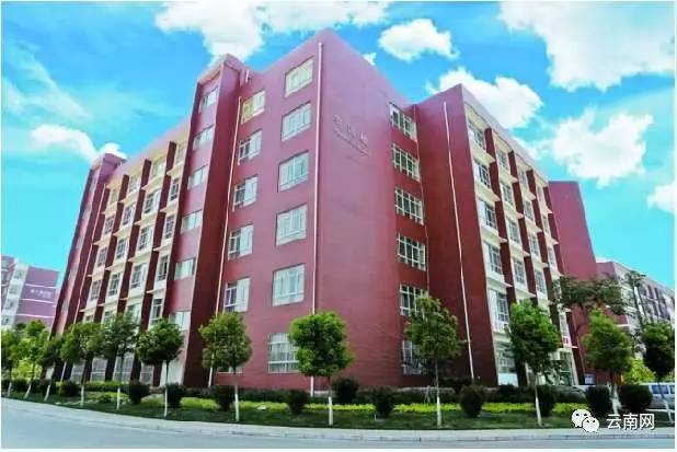 千余学子成功专升本,录取率94.4%!云南这个学