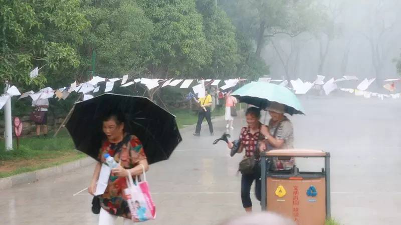 90后直击长沙烈士公园相亲角:多的是你不知道