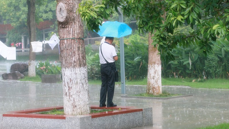 90后直击长沙烈士公园相亲角:多的是你不知道