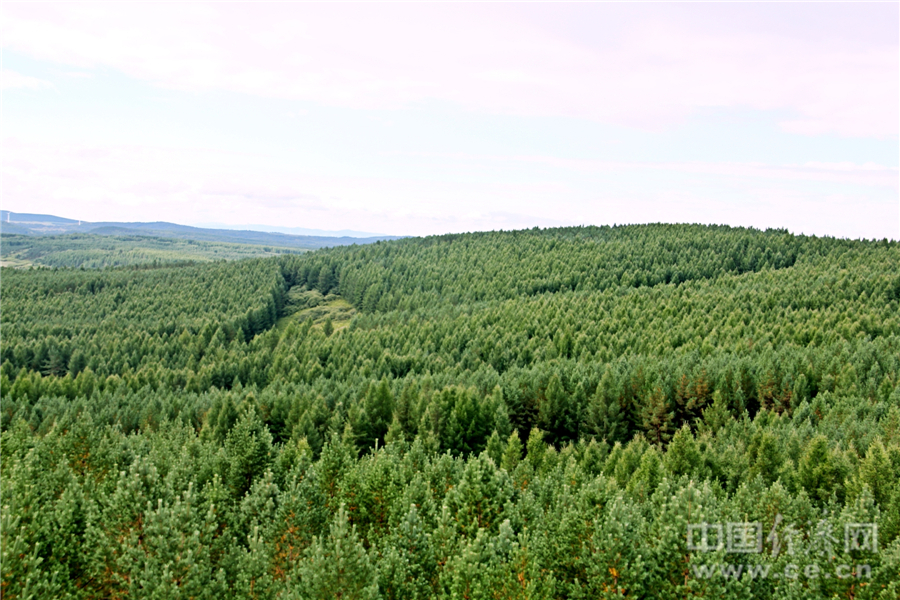 不用炸开喜马拉雅山,青藏高原正变暖湿,西北或成“鱼...