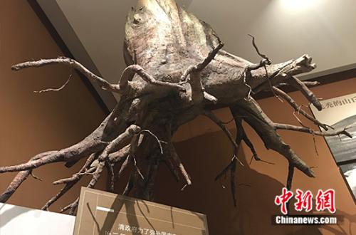 坚守凝聚塞罕坝精神:奉献与传承|塞罕坝|防火|林