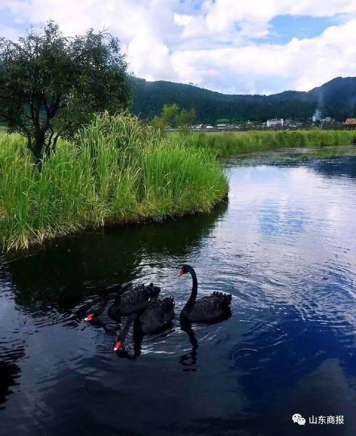 竟有这么美的地方!一起去吧!腾冲、瑞丽、芒市温泉美食之旅四飞六日二度来