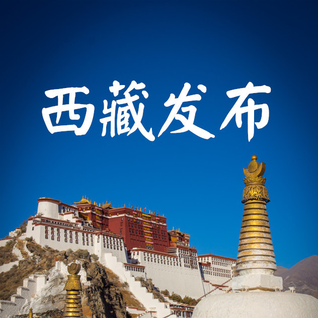 西藏拉萨_西藏拉萨人口比例