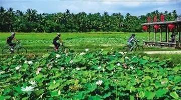 这是要火啊!海南共享农庄要落地了!这些大咖