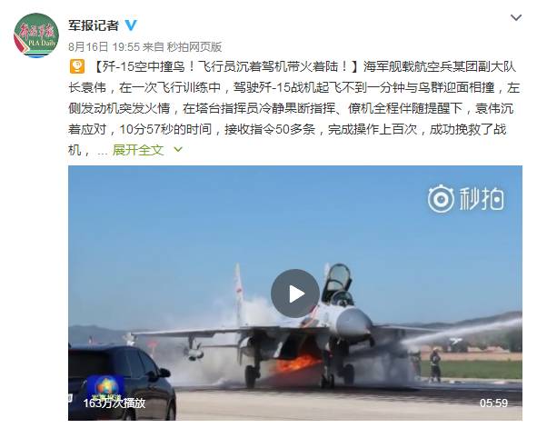 歼15空中撞鸟!飞行员驾机带火着陆|海军|袁伟|着