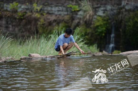 精神落实在重庆大地上】治出岸绿水清 合川首