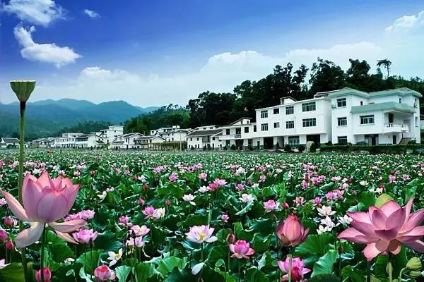 10个5A,100个4A!未来3年江西要建1万个乡村旅