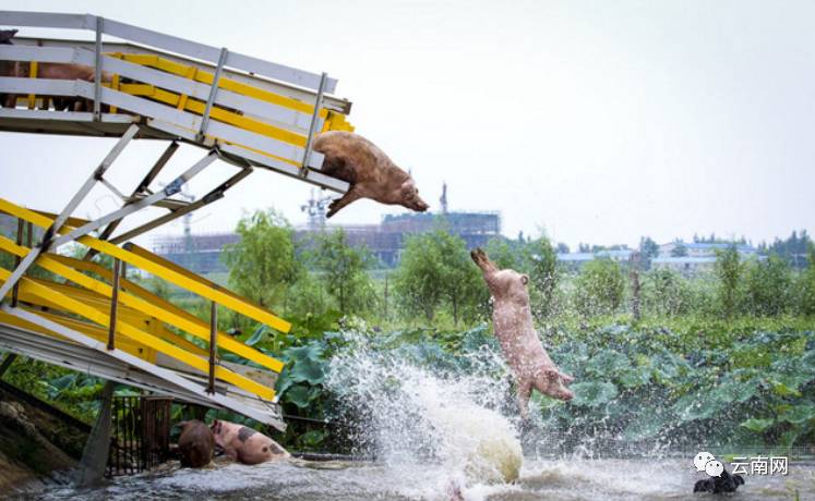 早fun|好消息!9月昆明机场停车楼有望ETC收费