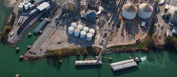 中粮丰益排名上升 ABCD四大粮商时代将结束