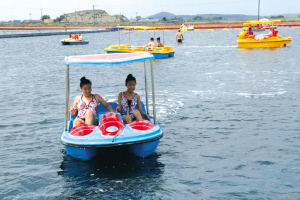 海盐世界公园成辽宁最新夏令营基地|海盐|世界