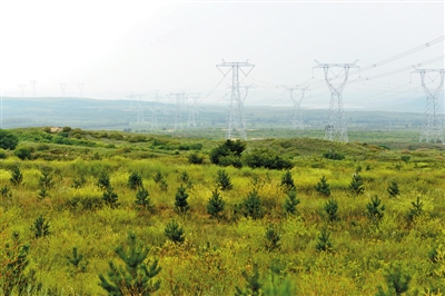 多伦看绿:从贫瘠风沙源到富美生态园|林业|多伦