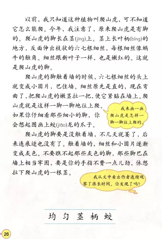 《爬山虎的脚》丨那些年，我们一起读过的课文