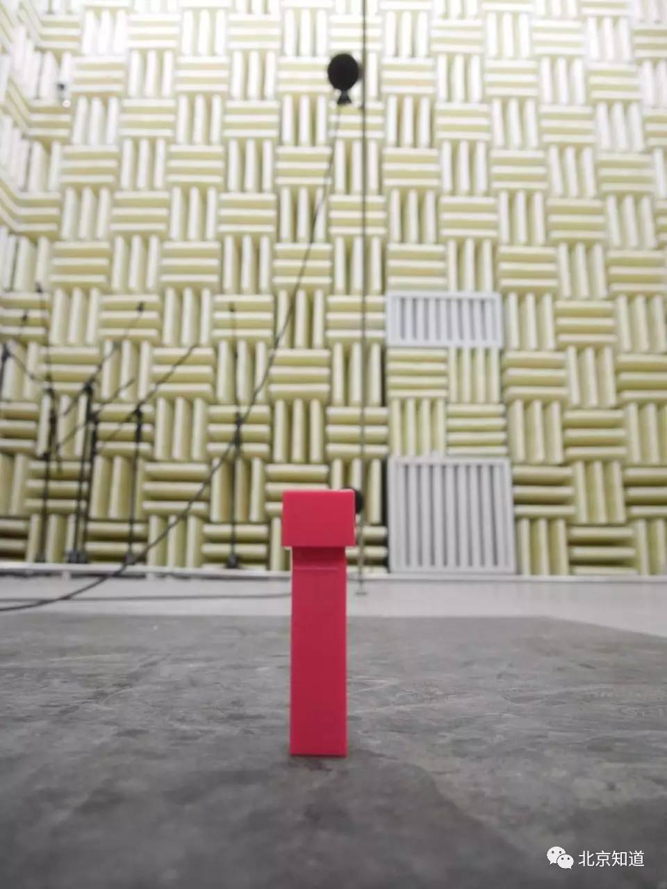 烤熟猪肉、戳穿铝片,网售防狼神器威力多大?