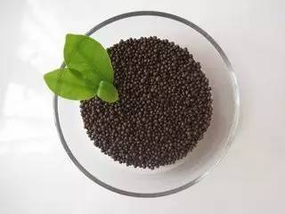 宁夏银川:循环农业推动绿色发展|宁夏|有机肥|秸