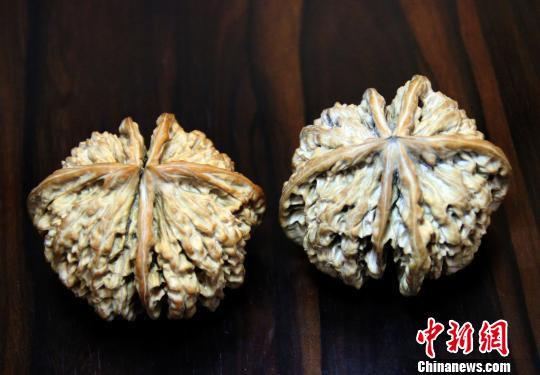 产地河北涞水的直径62毫米六棱球形“麻核桃王”。 于俊亮 摄