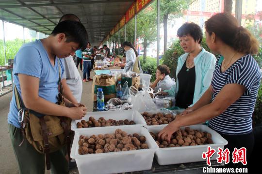 外地客商在涞水文玩核桃市场细心选购。 于俊亮 摄