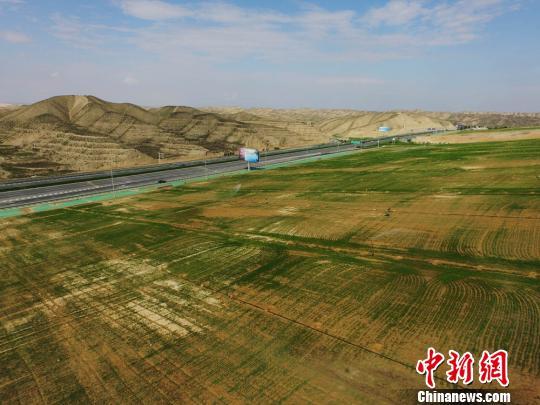 兰州新区境内,公路两旁可见通过荒坡植绿方式实现的绿色通道。(资料图) 杨艳敏 摄