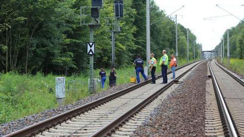 德国右翼分子纵火铁路设施致火车大面积延误|柏林|勃兰登堡|赫斯_新浪新闻