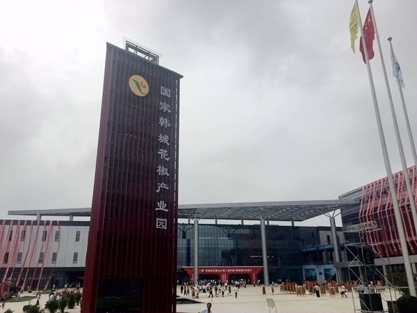 花椒红了 科技助力韩城花椒走向国际