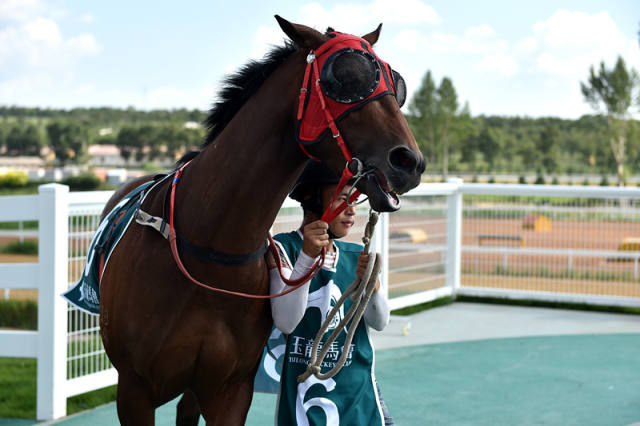 ��ɽ��ʡ������������԰��ƥ��������������Ա�����չʾ��ƥ��7��29���㣩�� �»������ղ����