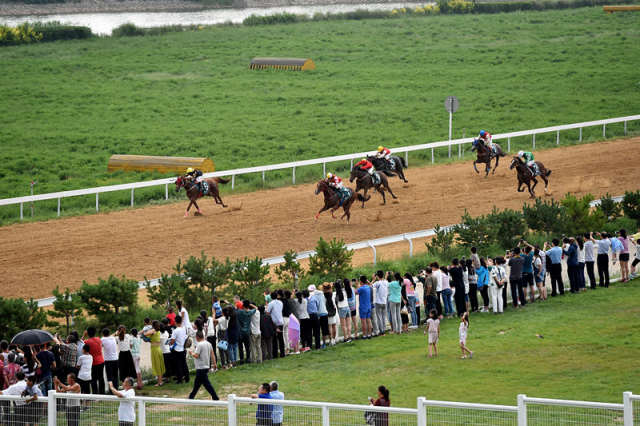 ��ɽ��ʡ������������԰��������������2017����������������������7��22���㣩�� �»������ղ����