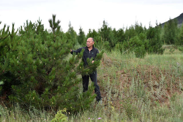 ��ɽ��ʡ���������Ҥ����ͷɽ���������ڲ鿴���������������7��24���㣩�� �»������ղ����