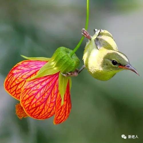 2018年最新顺口溜,赶紧看!