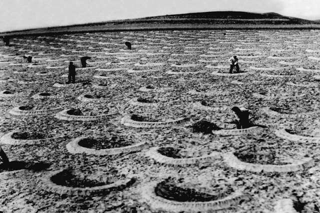 ��20��������ʮ�����������Ⱥ���ڻ�ɽֲ����������Ƭ���� �»��緢