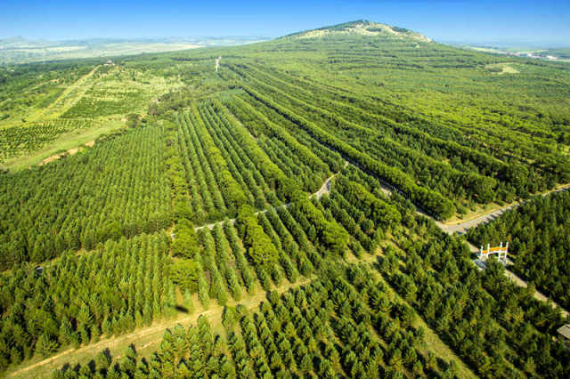 ����ɽ��ʡ������С��ɽɭ�ֹ�԰һ�ǣ�2016��5��23���㣩�� �»��緢����̩�㣩