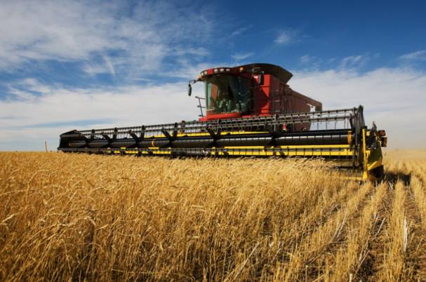 音频新闻 |《澳洲财经3分钟》12月27日