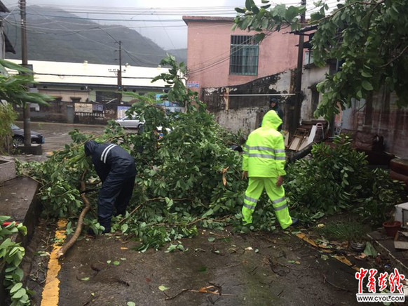 今年最强台风天鸽凶猛袭粤|香洲|白云机场|高
