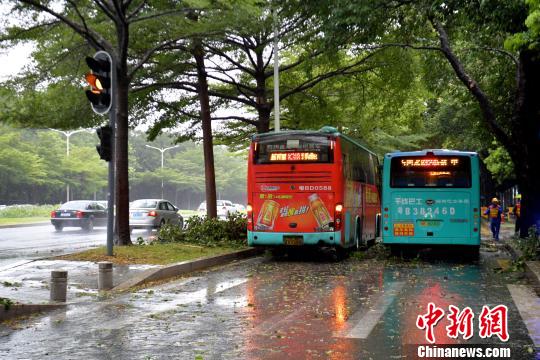 深圳全市进入台风特殊紧迫进攻形态。 陈文 摄