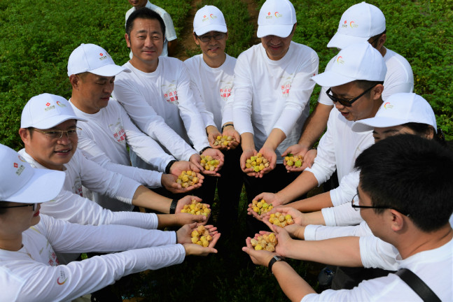 东方证券产业扶贫结硕果 打造东方菇娘品牌|