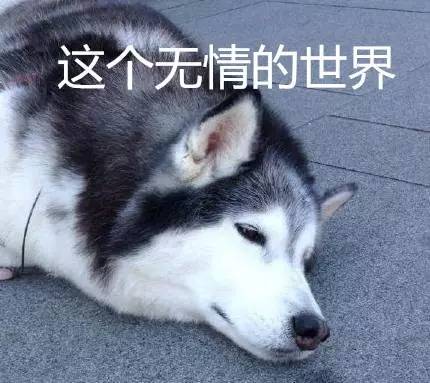 快七夕了,没想到天津有这么多相亲公园,有没有