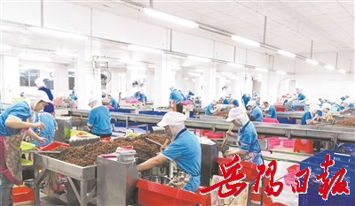 新技术产业交出靓丽成绩单|科技企业|孵化器|岳