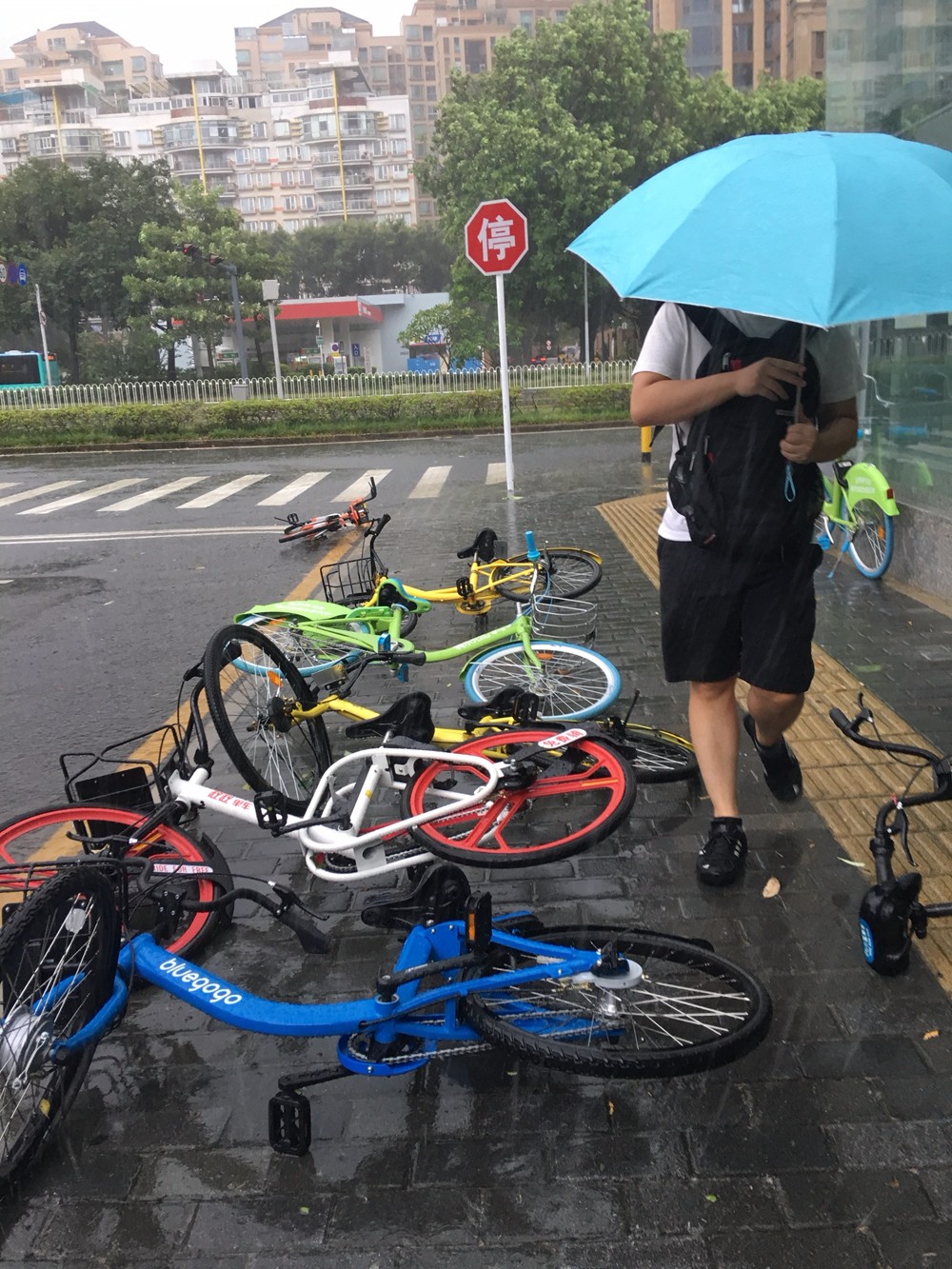 14级大风,天鸽刚登陆!或成今年登陆我国最强