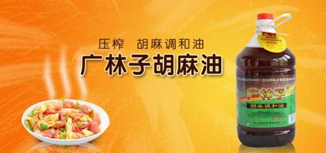 宁夏叶盛人口_宁夏叶盛(3)