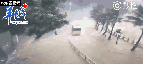 492_222 gif 动态图 动图