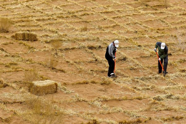 中国荒漠化治理获国际大奖 德媒:全球环境保护