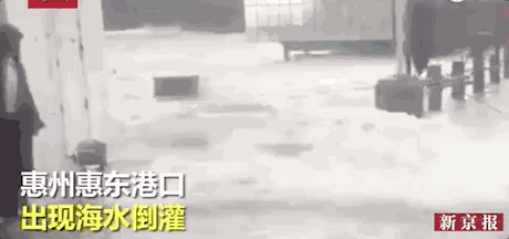 刷屏的这两个视频,一个是真,一个是假的!中山司