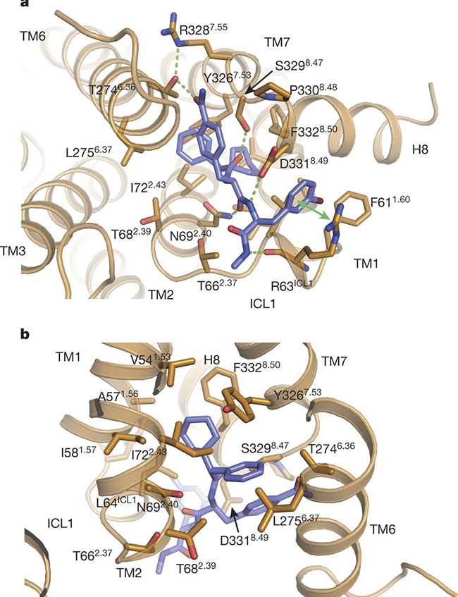 清华医学院生物研究组在《自然》期刊发表文章