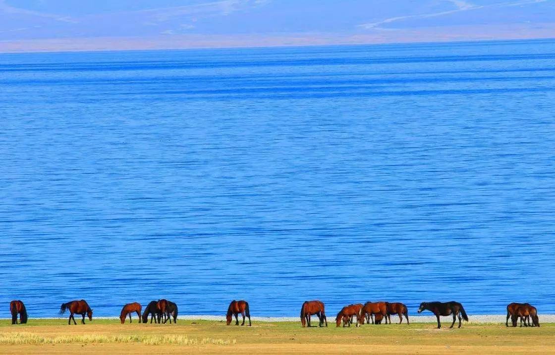 8-9月份去新疆旅游的5个理由|新疆|喀纳斯湖|克