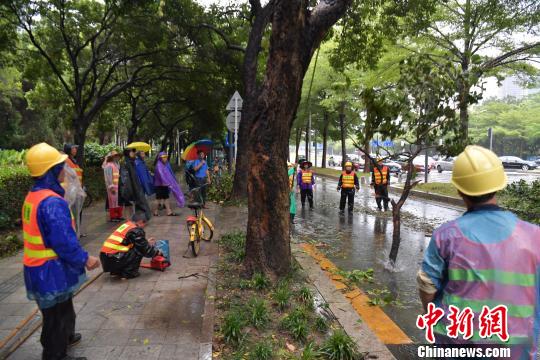 台风来袭深圳全市四停 深圳湾口岸暂停通关|